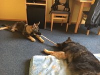 Shani und Xelie